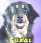 Аватара пользователя