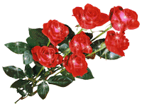 06a22176bdec65160c28b782c8608db9.gif