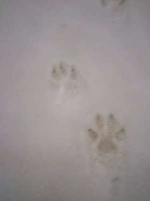 DSC_0005.jpg