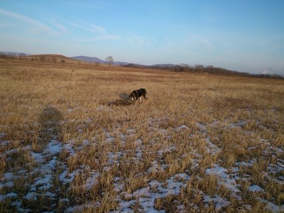 DSC_0015.jpg