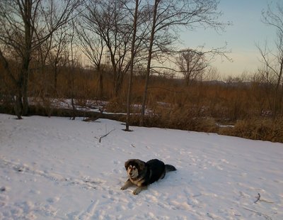 DSC_0035.jpg