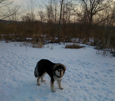 DSC_0034.jpg