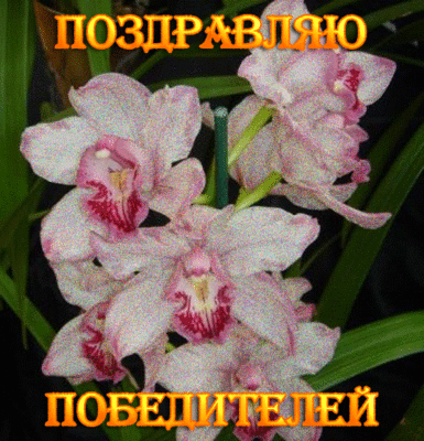 9b50c23cb073.gif