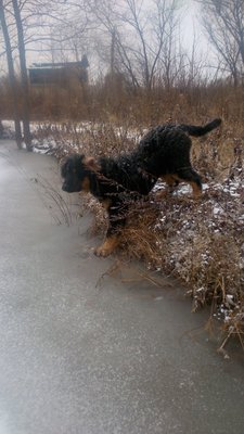 DSC_0033уыпа.jpg