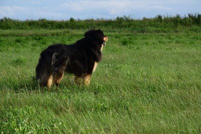 DSC_7889.JPG