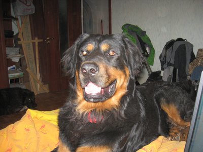 IMG_3604.JPG