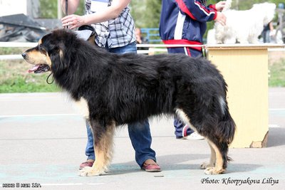 ВЕЩИЙ ГАМАЮН ПАЛАМ.jpg
