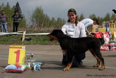 ДАР СТЕПЕЙ ХЭТЭ.jpg