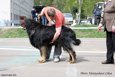 РУС КАЙЛАС НАЗАР ХИЛЕ.jpg