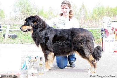 РУС КАЙЛАС ПЭЛМА ПАРИ.jpg