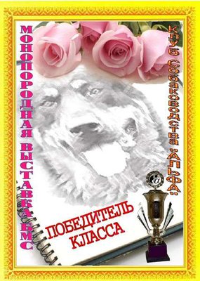 Диплом Рыч.jpg