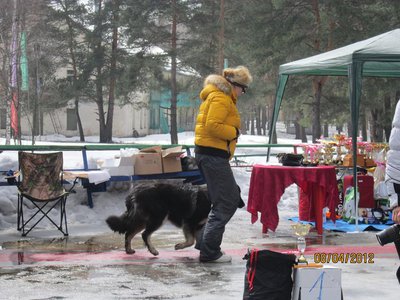 Лена с Гармой на ринге.jpg