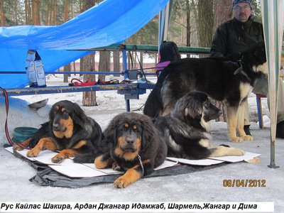 Рунка,Джанька,Гарма ,Жангар,Дима.jpg