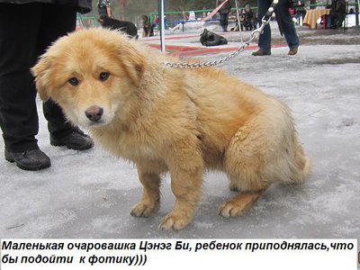 цэнэг би.jpg