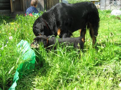 IMG_3831.JPG