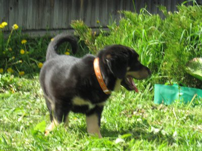 IMG_3836.JPG