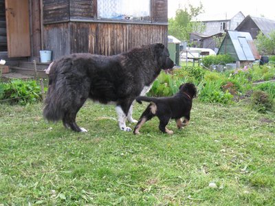 IMG_3861.JPG