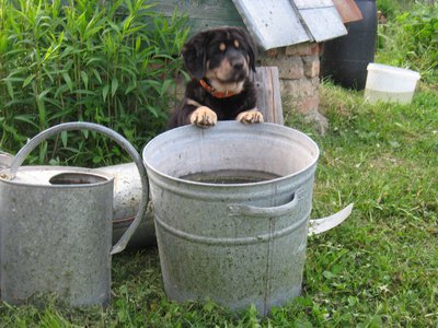 IMG_3867.JPG